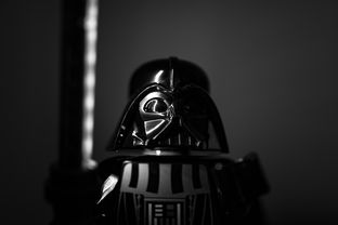 kaiyun体育综合-“南非羚羊队的秘密武器：萨尔·巴赫的崛起”