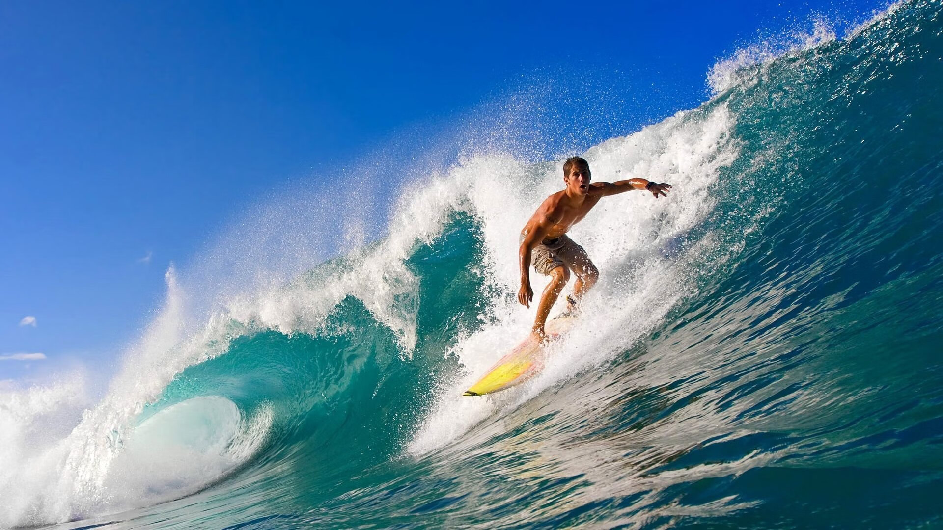 开云中国-跳水动作精准韩国收获信心，韩国跳水选手搞笑