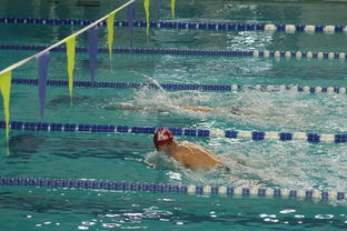 kaiyun登录入口-自由泳预赛突尼斯多人晋级，自由泳2021